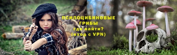 apvp Белокуриха
