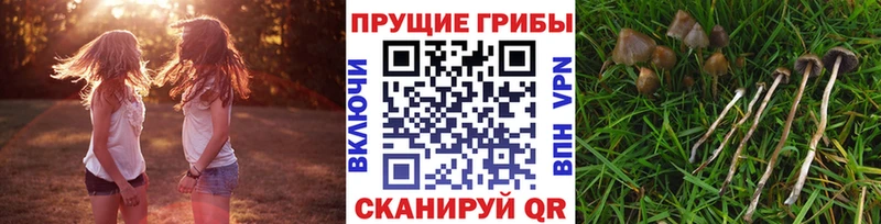 где найти наркотики  Горячеводский  Псилоцибиновые грибы ЛСД 